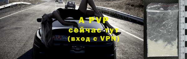 прущие грибы Горнозаводск