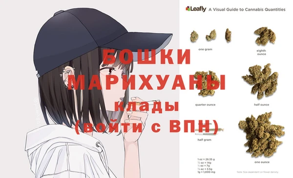 стаф Вязники