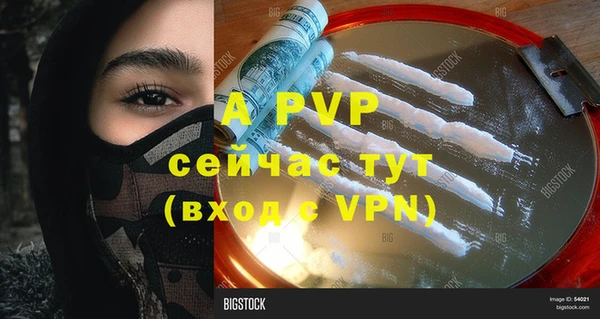 стаф Вязники