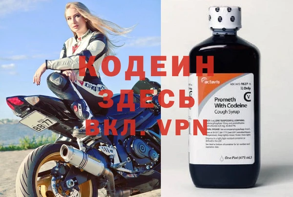 прущие грибы Горнозаводск