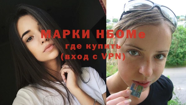 стаф Вязники