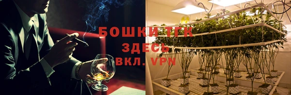 прущие грибы Горнозаводск