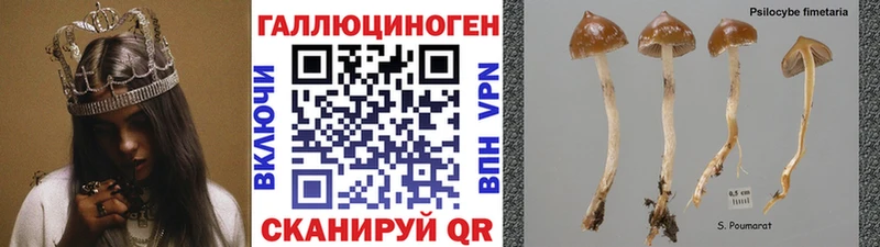 Псилоцибиновые грибы Magic Shrooms  Звенигово 